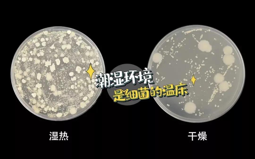 疫情反撲，居家防疫廚房重中之重！