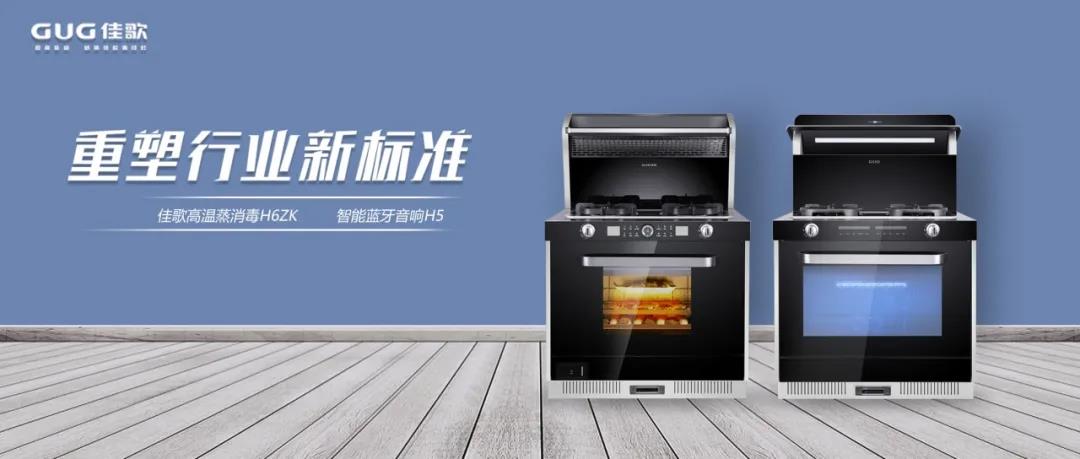 佳歌品牌代言人佟麗婭榮獲“微博年度之星”！