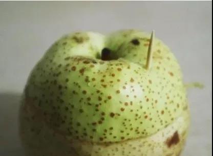 一雷驚蟄醒，今天要用什么來叫醒你的胃？